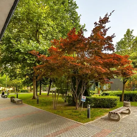 Royal 1 Bedroom In Highest Floor